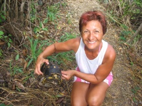 We found this little tortoise along the foot part in St Barts